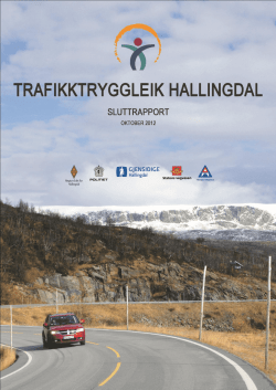 Sluttrapport - Regionrådet for Hallingdal