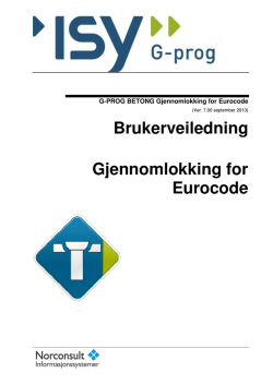Brukerveiledning Gjennomlokking for Eurocode