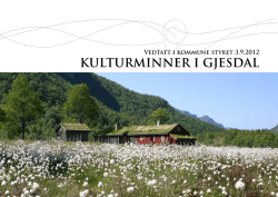 Kulturminner i Gjesdal (gratis pdf) til ned lasting.