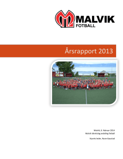 Årsrapport 2013 060214