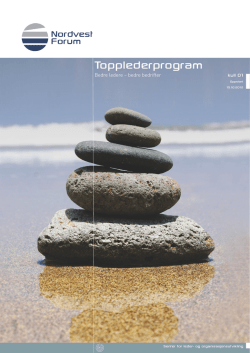 Topplederprogram