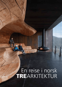 En reise i Norsk TREARKITEKTUR (2-opplag-tosidig) (ny)