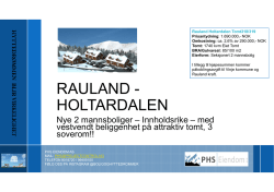 Rauland.pdf