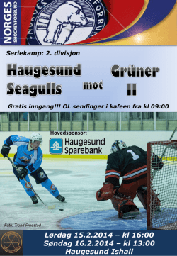 Haugesund Seagulls 2013/14