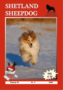 Annonser - Norsk Shetland Sheepdog Klubb