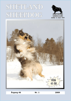 Pdf-fil på medlemsblad 1/09 - Norsk Shetland Sheepdog Klubb