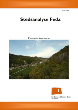 Stedsanalyse Feda - Kvinesdal kommune