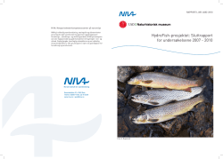 HydroFish-prosjektet: Sluttrapport for undersøkelsene 2007