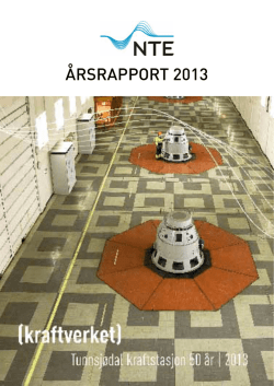 ÅRSRAPPORT 2013