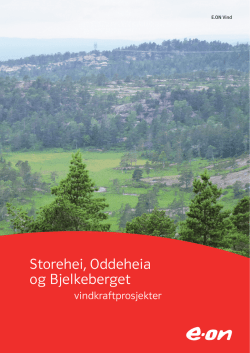 Storehei, Oddeheia og Bjelkeberget