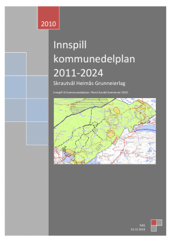 Innspill kommunedelplan 2011-2024