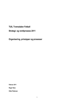 TUIL – Forarbeid til strategiprosess 2011