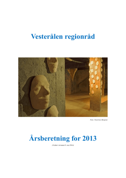 Vesterålen regionråd Årsberetning for 2013