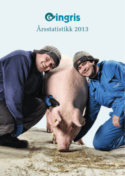 Årsstatistikk 2013.pdf