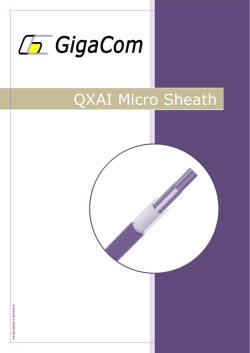 QXAI Micro Sheath