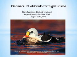 Finnmark: Et eldorado for fugleturisme