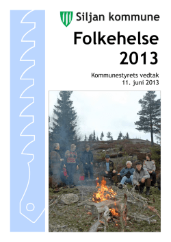 Folkehelse 2013 - Siljan kommune