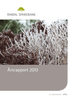 Årsrapport 2013 - Rindal Sparebank