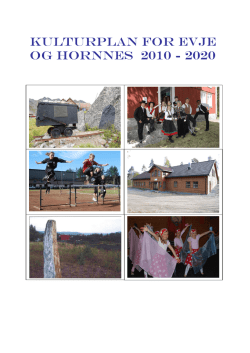 Kulturplan - Evje og Hornnes kommune