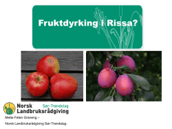 Fruktdyrking i Rissa? - Norsk Landbruksrådgiving Sør