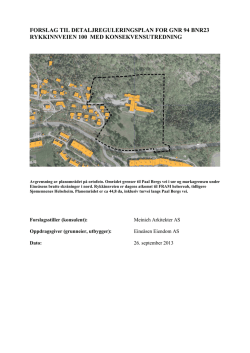13.09.26 Planbeskrivelse Rykkinvn 100