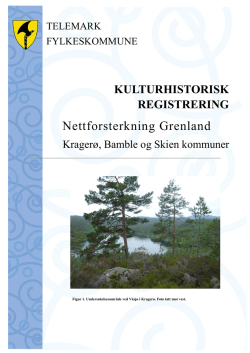 Rapport_Nettforsterking_Grenland_Part1.pdf