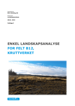 ENKEL LANDSKAPSANALYSE FOR FELT B12