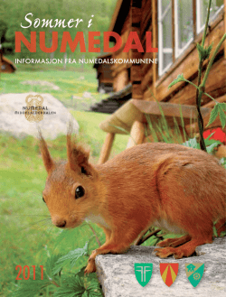Sommermagasinet 2011 - Nore og Uvdal Bygdetun
