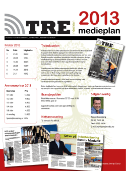 medieplan 2013