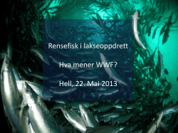 Lars H. Andresen, WWF