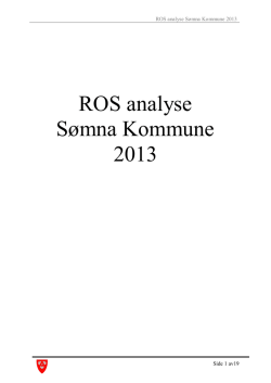 Endelig rapport (19sider.pdf).