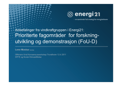 Energi21: vindkraftgruppens anbefalinger for fremtidig satsning