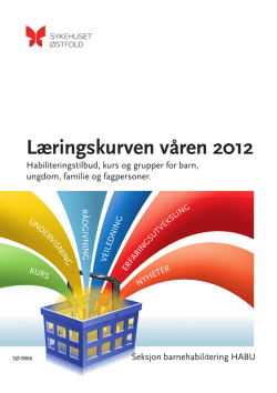 Læringskurven våren 2012