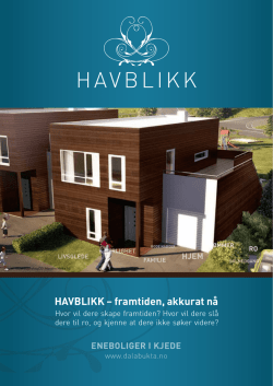 HAVBLIKK - Dalabukta