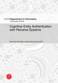 Cognitive Entity Authentication with Petname Systems