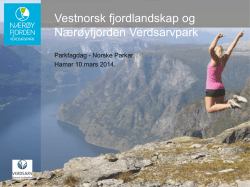 Nærøyfjorden Verdsarvpark ved daglig leder Erling