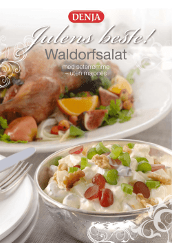 Waldorfsalat - Rieber & Søn food service