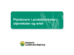 media/ring/1197/Oljevekster og erter Planteverndagen 2013.pdf