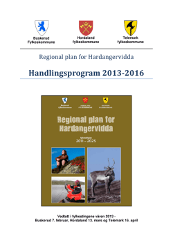 Handlingsprogram 2013-2016 - Fylkesdelplan Hardangervidda