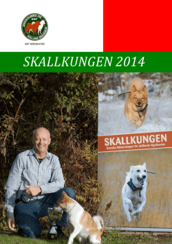 SKALLKUNGEN 2014 - Specialklubben för Skällande Fågelhundar