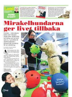 Mirakelhundarna ger livet tillbaka