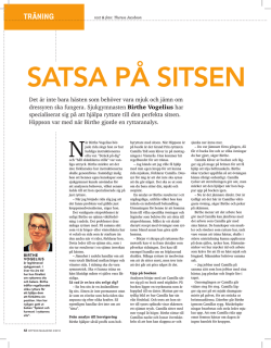 Hippson (#2 2010): Satsa på sitsen (pdf)