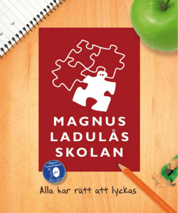 år år - Magnus Ladulåsskolan