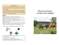 Hästar på naturbete - Naturskyddsföreningen i Stockholms län