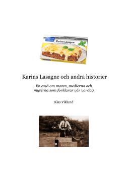 Karins Lasagne och andra historier