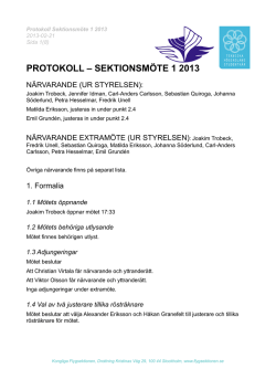 2013 Protokoll SM1.pdf