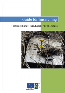 Guide för husrivning.pdf