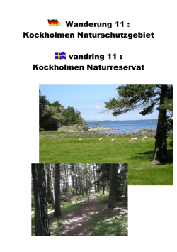 Kockholmen Naturschutzgebiet vandring 11