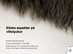 Etiska aspekter på viltolyckor Helena Röcklinsberg, SLU