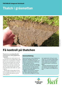 thatch i gräsmattan - The Scandinavian Turfgrass and Environment